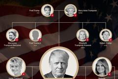 Rodokmen Donalda Trumpa - poutací obrázek