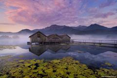 České lesy, holandská tulipánová pole, bavorská jezera. Krajiny pohledem Tomáše Morkese