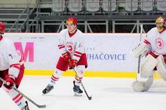 Finále juniorské extraligy, Třinec - Plzeň: Lukáš Doudera