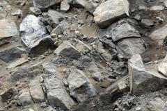 Odklízení závalu na D8