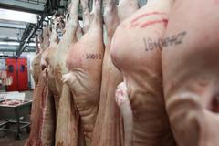 Hyperkmarket Globus - příprava masa, řeznictví, řezník Pavel Holeček