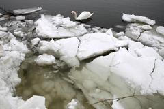 Dunaj a prudké oteplení