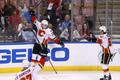 Calgary Flamees - Florida Panthers, NHL 2016/17