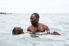 Moonlight - trailer