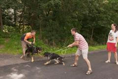 Se psem musí páníček komunikovat. Psího rváče zastavíte nacvičeným signálem