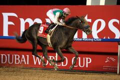 Vítězem Světového poháru v Dubaji se stal kůň Arrogate