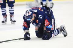 6. utkání čtvrtfinále play off: HC Škoda Plzeň - Bílí Tygři Liberec