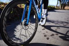 Silniční kolo Canyon, diskové brzdy