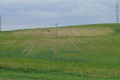 Sucho se výrazně projevuje i v zemědělství. A na neschopnosti krajiny zadržet vodu má podle Havláta podíl i špatné zacházení s půdou v minulosti.