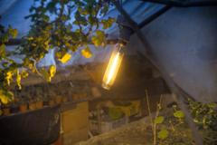 Zahradnictví, bylinkář Horní Počernice