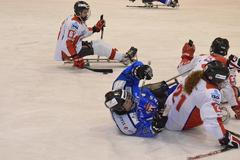 Pardubice sledge hokej