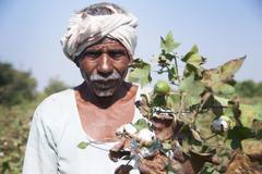 Cesta méně žíznivé bavlny z indického pole do povlečení a utěrek Evropanů