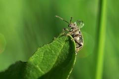 Fotosoutěž Fotím-fotíš na Google plus