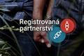 grafika - registrovaná partnerství