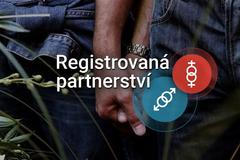 grafika - registrovaná partnerství