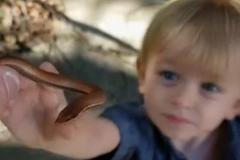 Dvouletého Australana si oblíbili lidé na internetu. Chlapec chytá hady do rukou