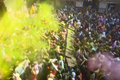 Indové slaví festival barev, do vzduchu hází pigmenty a květiny