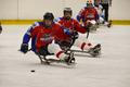 Pardubice - sledge hokej