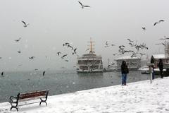 Sněhová kalamita ve světě