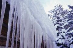 Rampouch - zima - mráz