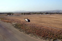 Izraelský dron Kormorán – test