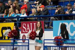 Roztleskávačky, indián a vítězství Vítkovic. Tak v Ostravě začalo extraligové play off