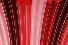 Výběr z fotek nominovaných na ceny Sony World Photography Awards