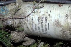 Trosky syrského letounu, který se zřítil v Turecku