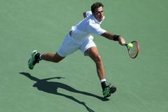 Robin Haase na US Open 2014