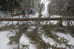 Sněhová kalamita v Česku