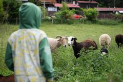 Lesní mateřská školka Na dvorečku