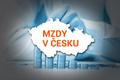 Mzdy - úvodní obrázek