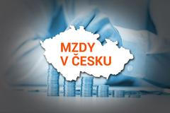 Mzdy - úvodní obrázek