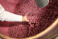 Nestlé, Sfinx, výroba, továrna + rozhovory a formy