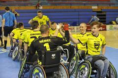 Radost Štírů po utkání