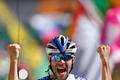 Tour de Farnce 2015, 20. etapa: Thibaut Pinot, FDJ