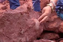 Na čínském staveništi našli dinosauří vejce. Podle vědců jsou stará 70 milionů let