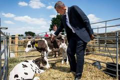 Uvnitř politické kampaně Andreje Babiše