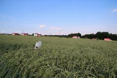 Nehoda letadla - hasiči -  Hodkovice nad Mohelkou