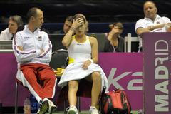 Fed Cup Česko - USA (2009)