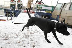 Zasněžená Praha 18.1.2016