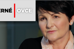 Nejvíc funguje jídlo, test dortíků trhal rekordy, televize má obrovskou moc, říká Fialová