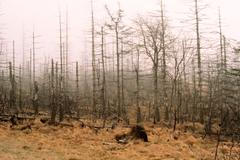 Krušné hory - emise