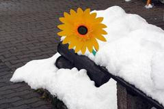 Jaro v Krušných horách