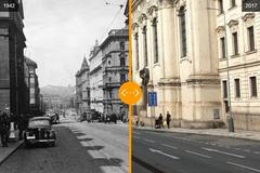 Anthropoid - srovnani