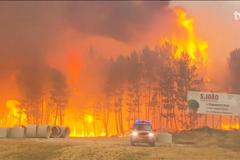 V portugalských lesích uhořely desítky lidí uvězněných v autech