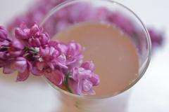 Zažeňte žízeň šeříkovým sirupem.