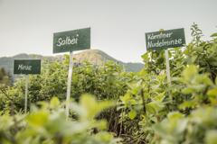 Austrian Time 2017 - Österreich Werbung - wanderhotels