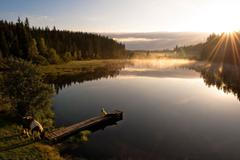 Austrian Time 2017 - Österreich Werbung - oberoesterreich-muehlviertel-alm