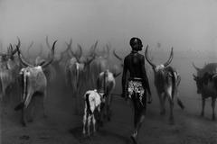 Sebastião Salgado - Genesis